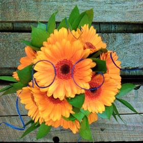 fwthumb17 bridesmaids handtie 45.00.jpg